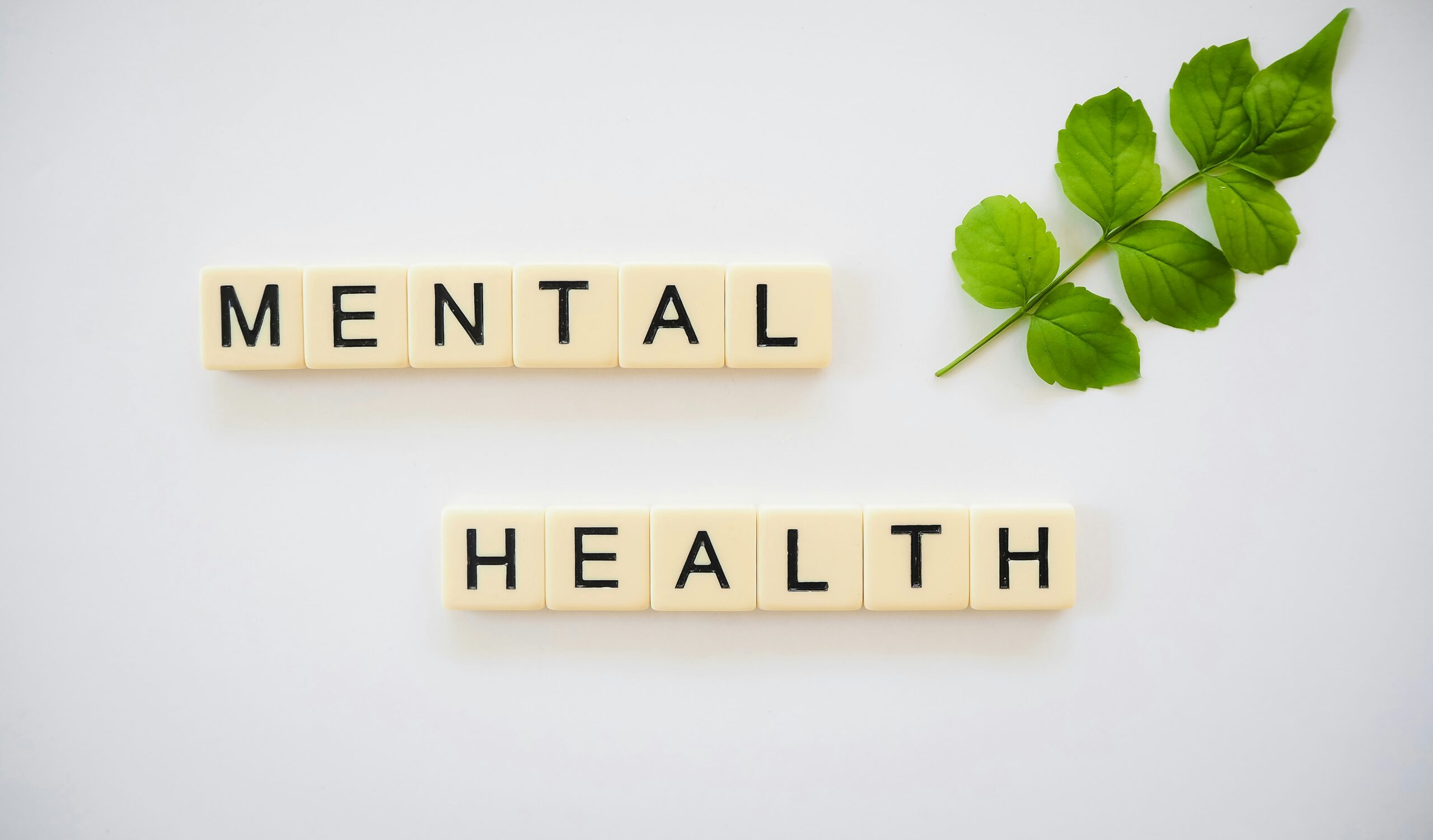 Simple Daily Habits to Boost Your Mental Health and Feel Better Every Day